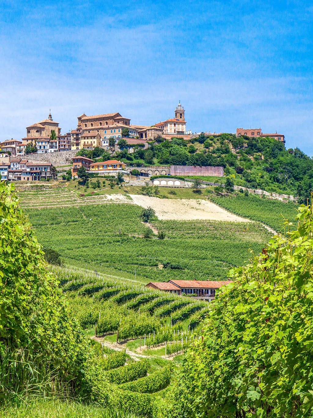 Wandern Slowfood Im Piemont Eine Weltweitwandern Reise