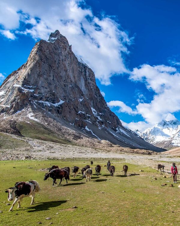 Ladakh Wandern Zanskar