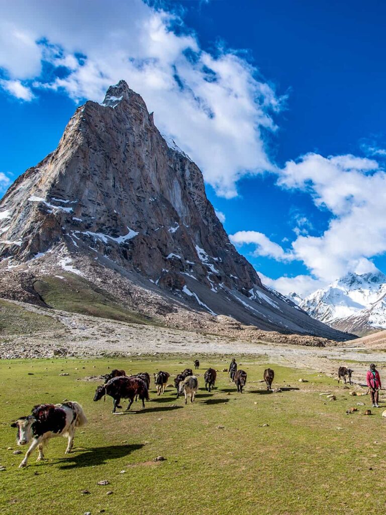 Ladakh Wandern Zanskar