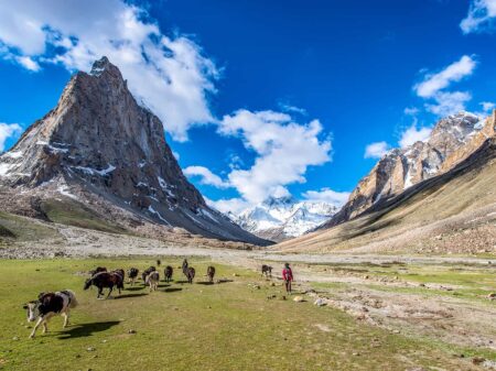 Ladakh Wandern Zanskar