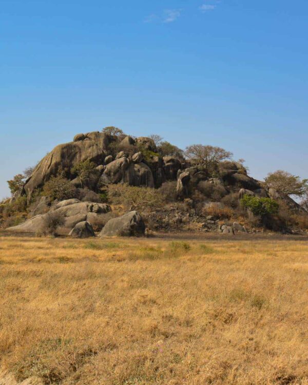 Serengeti Rock