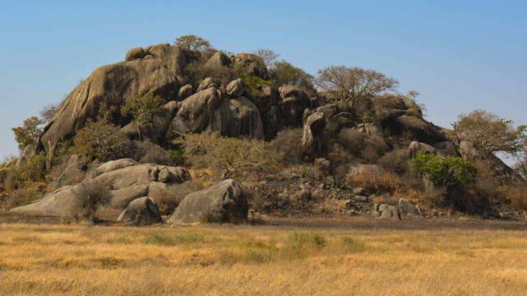 Serengeti Rock