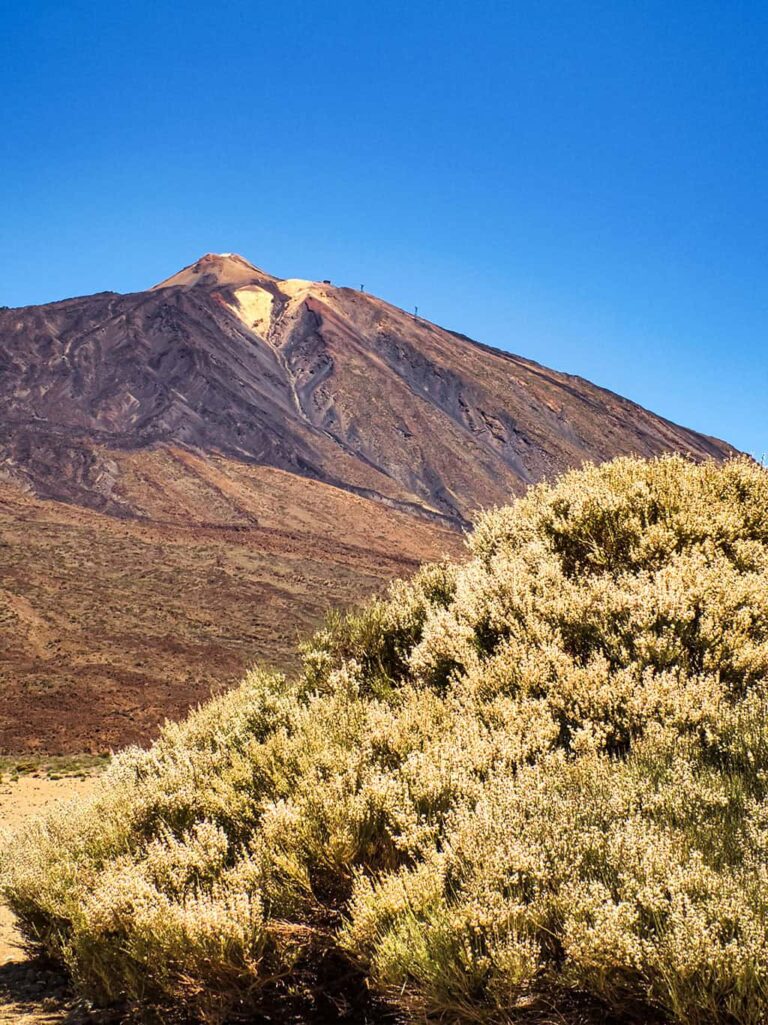 Wandern Teneriffa Teide