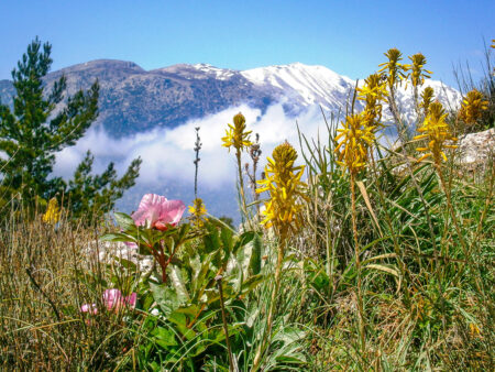 Wandern Ostkreta