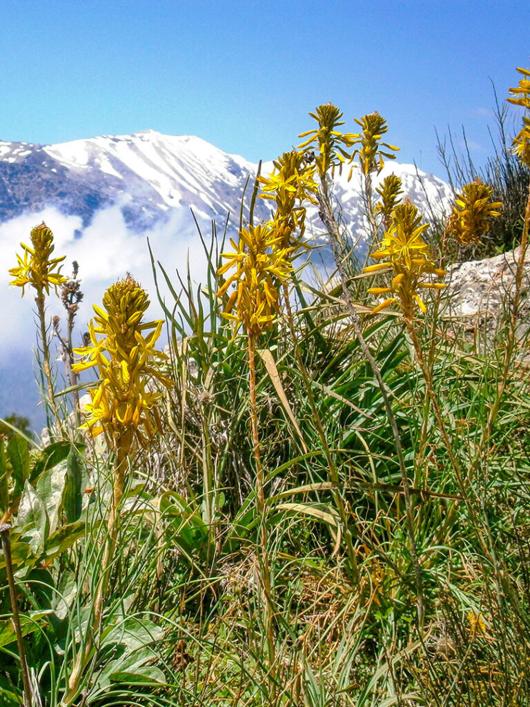 Wandern Ostkreta