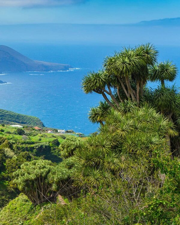 Wandern auf La Palma