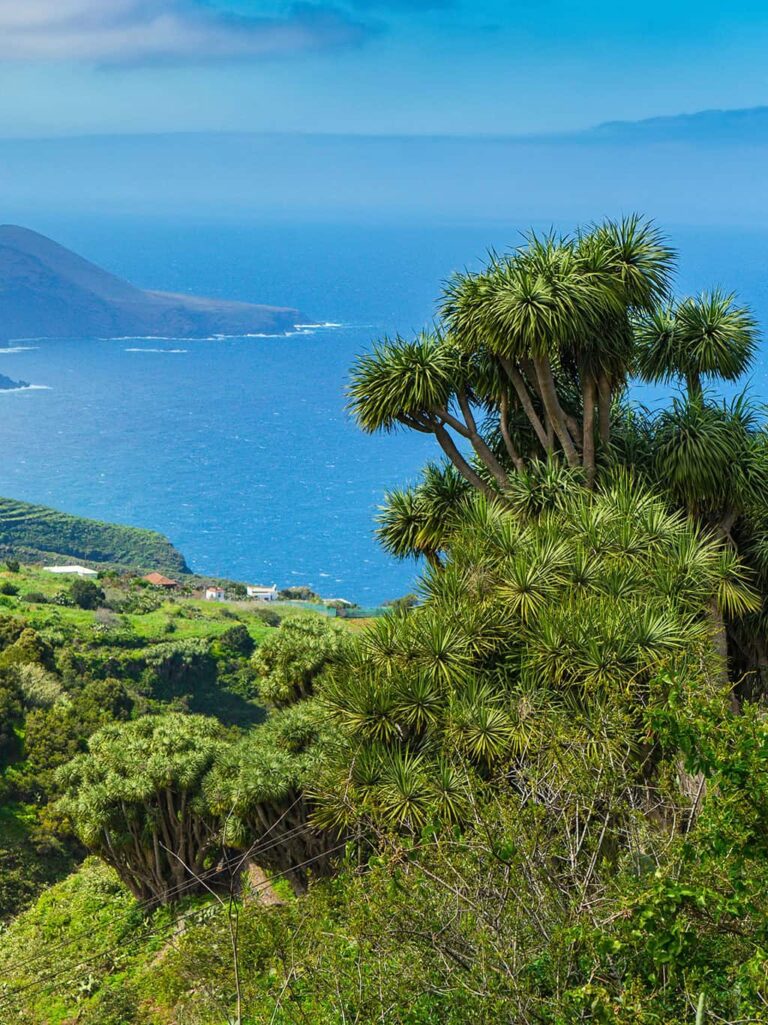 Wandern auf La Palma