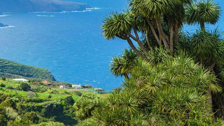 Wandern auf La Palma