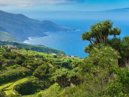 Wandern auf La Palma