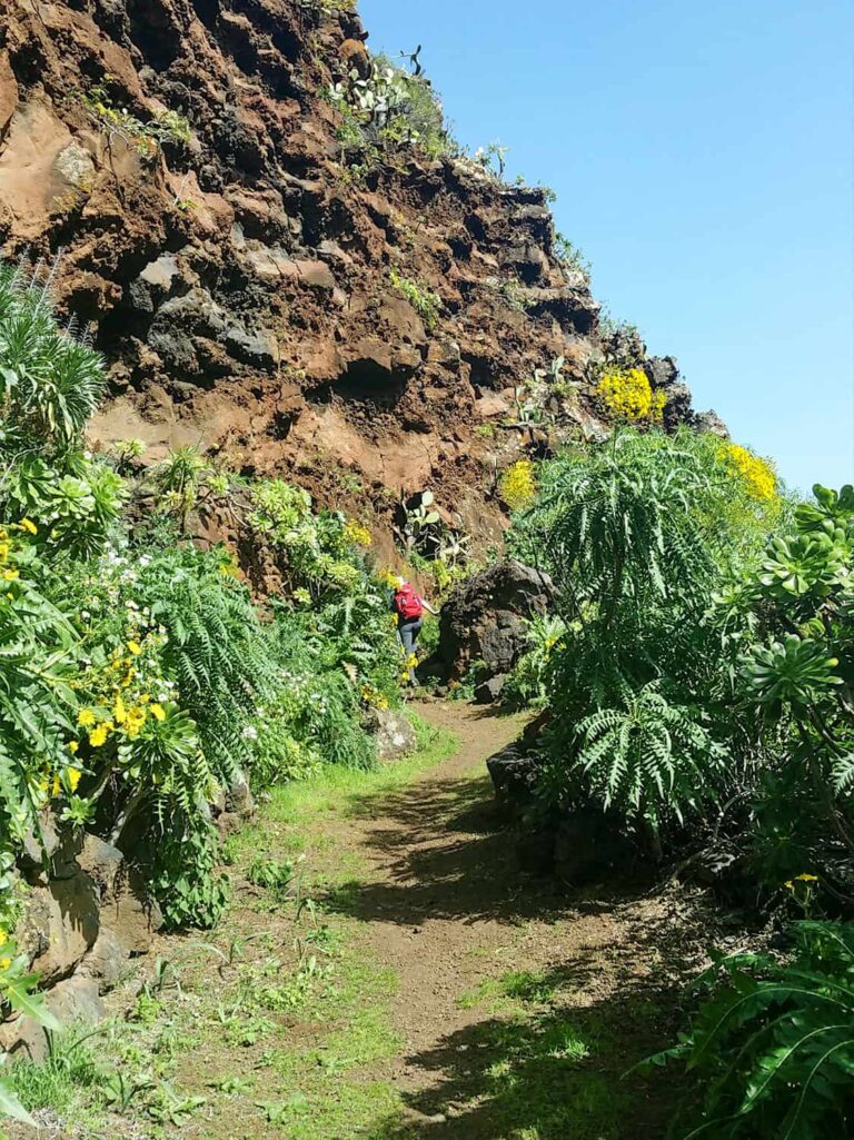 Wandern auf La Palma