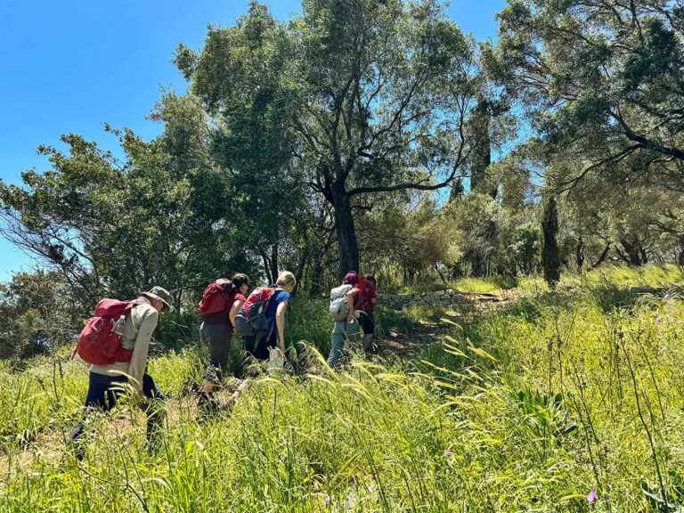 Weltweitwandern Korfu, Wandern im Grünen