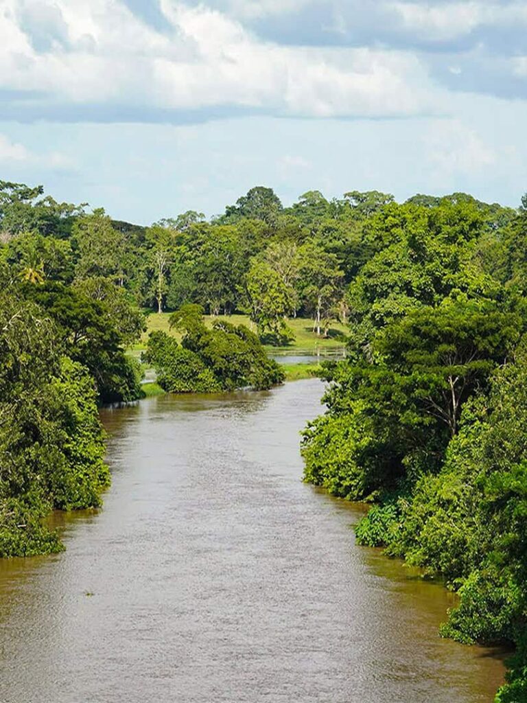 Dschungel in Costa Rica beim Wandern in den Nationalparks